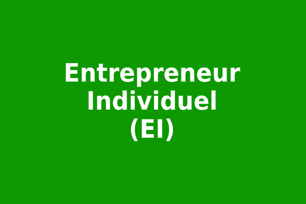 Statut entrepreneur individuel