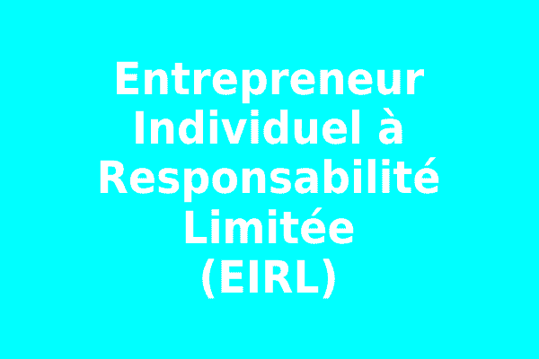Statut entrepreneur individuel à responsabilité limitée