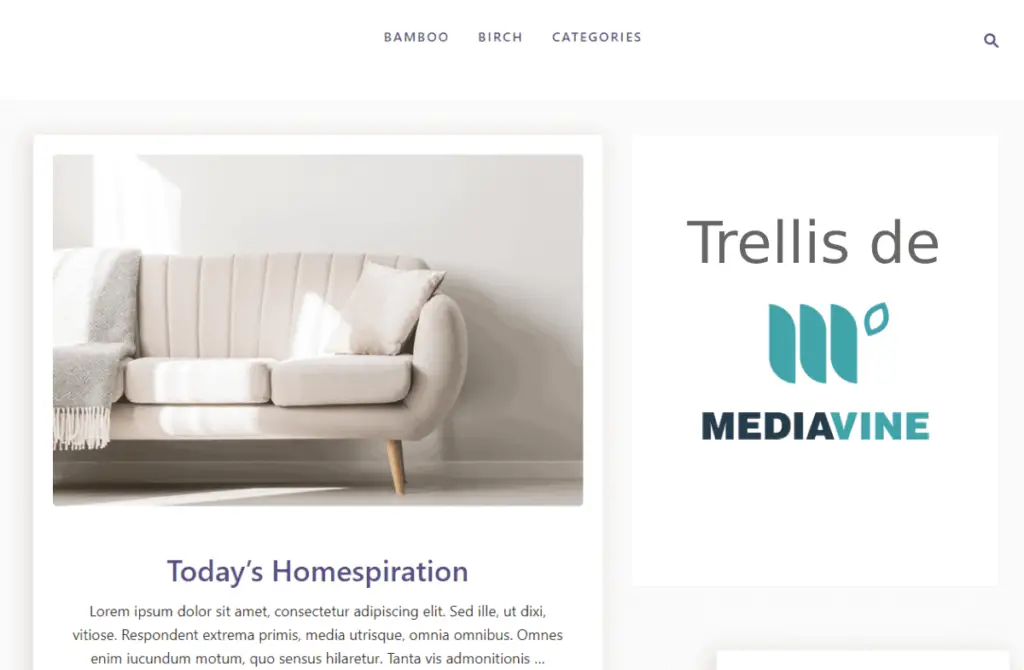 Pourquoi choisir le theme Trellis de Mediavine pour votre blog WordPress