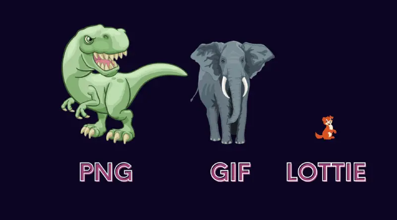 Comparaison de taille et de poids entre un fichier PNG, GIG et lottie